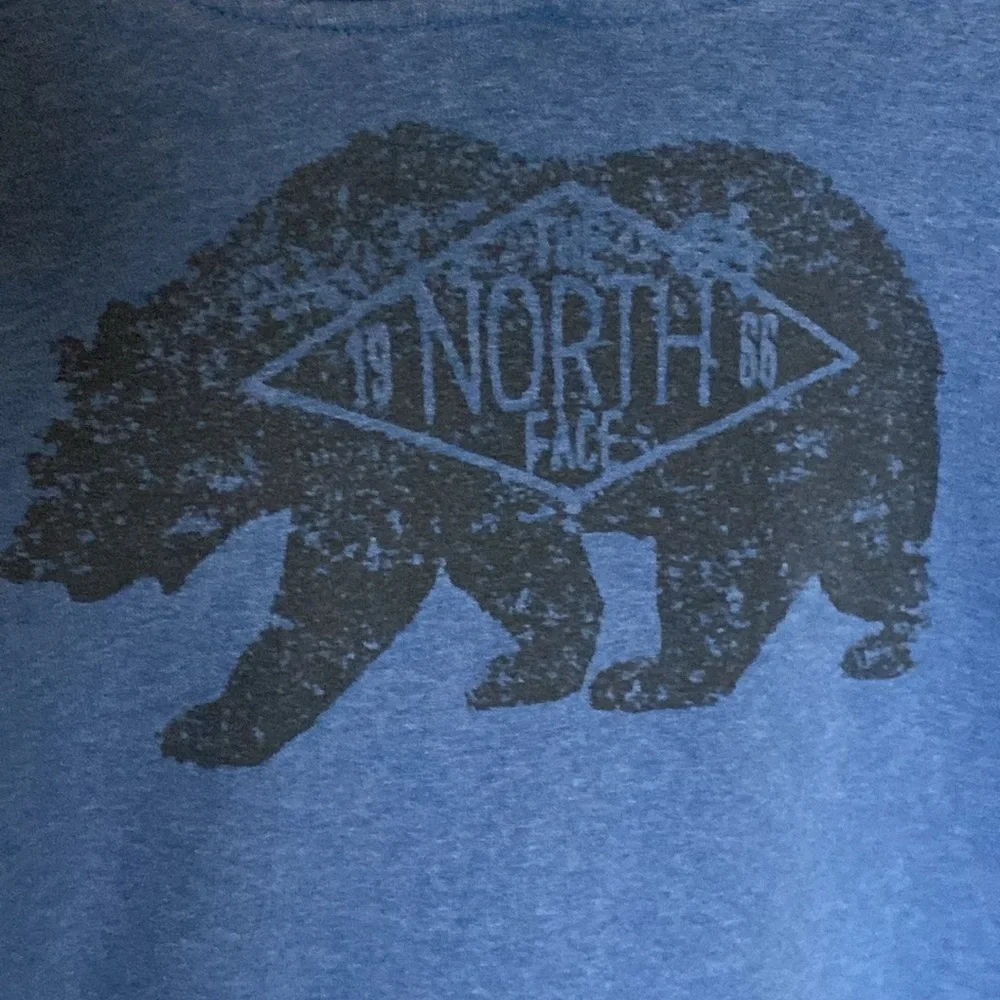 The North Face hoodie sweatshirt size large blue with black bear logo